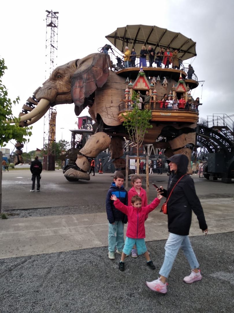 Img 20250607 wa0069